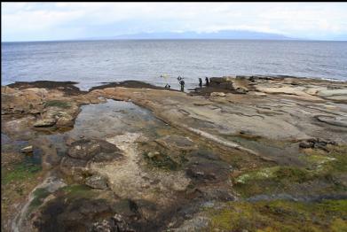 divers at Madrona Pt.