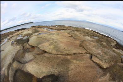 sandstone shoreline