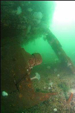 where propeller was cut off