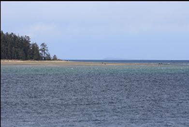 beach across from Madrona Point