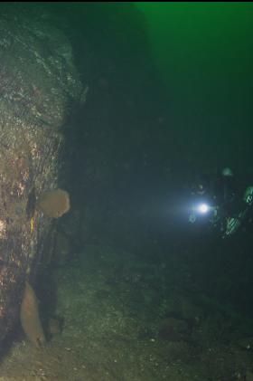 boot sponges on wall