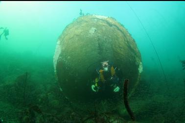 looking out of old sewer pipe