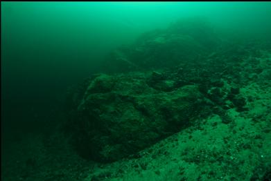 sandy slope and reefs below 100 feet