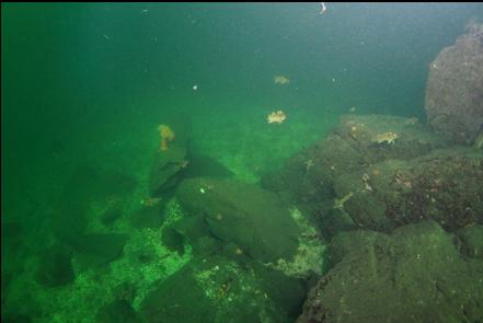 the base of the slope near my boat