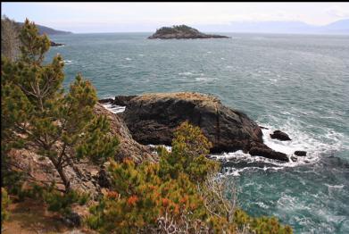 view of Secretary Island from Possession Point on another day