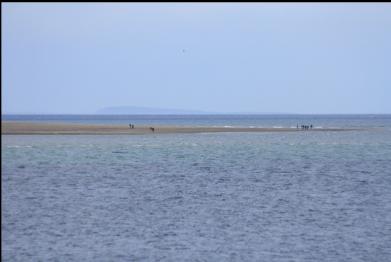 beach across from point