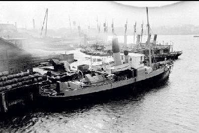 Victoria's whaling fleet