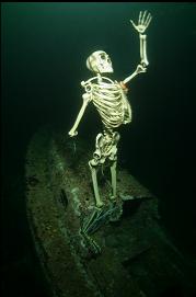plastic skeleton at Henderson Point
