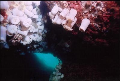 INSIDE TUNNEL