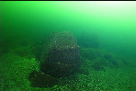 reefs and boulders