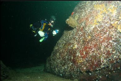 another boot sponge