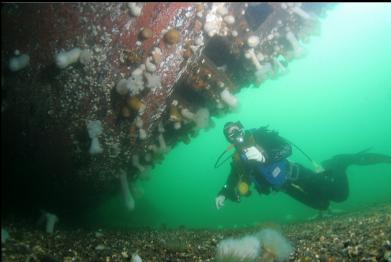 looking at holes in hull near stern