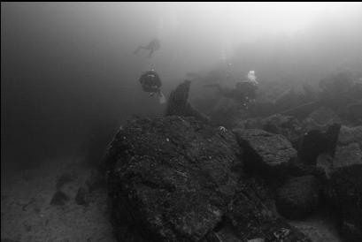 random divers with no strobe in black-and-white