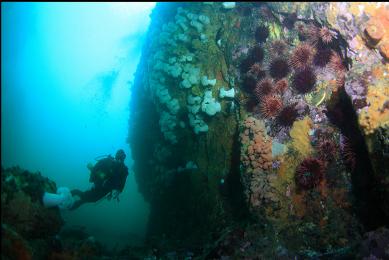 wall at Possession Point