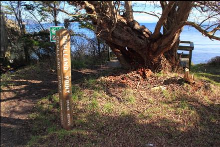 ocean access marker