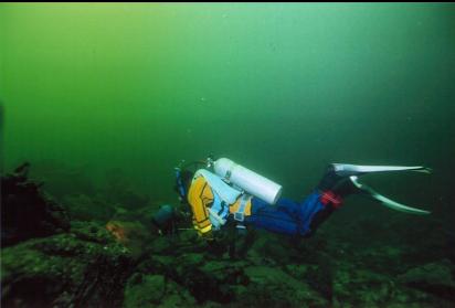 OVER REEF