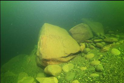 boulders on bottom