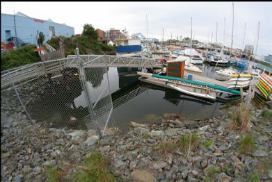 steep slope of rocks to marina. Value Village is the blue building