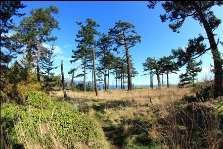 Brooks Point park