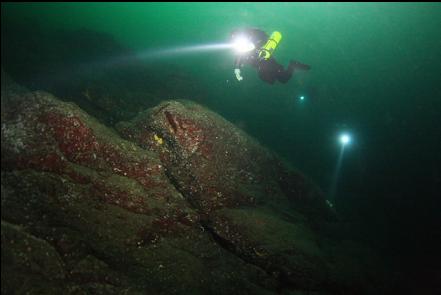 reefs