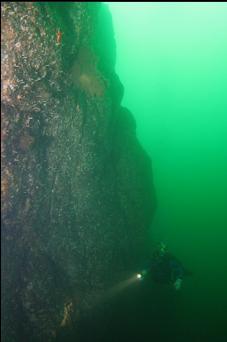 WALL AT 110 FEET