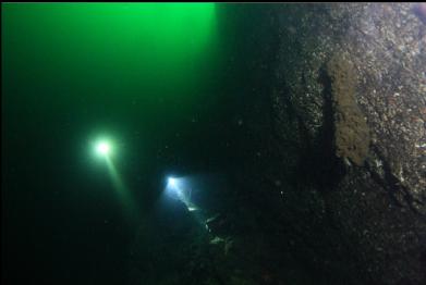 boot sponge on wall
