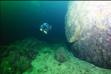 boot sponge