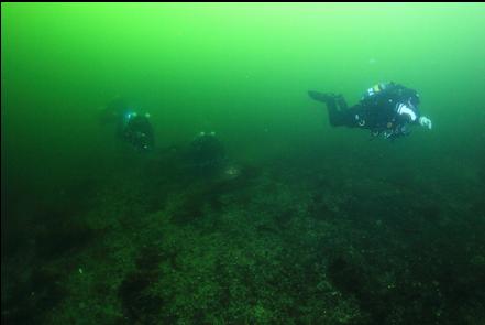 rebreather divers