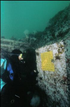 ARTIFICIAL REEF SOCIETY PLAQUE