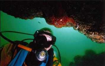 DIVER AND SEA STAR UNDER OVERHANG
