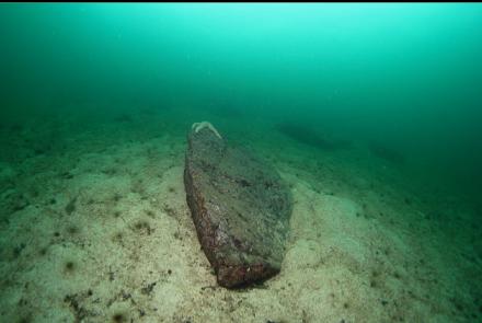 boulders on the sandy slope