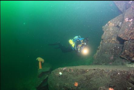 the base of the slope near my boat