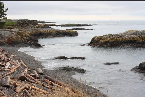 reefs and islets near shore