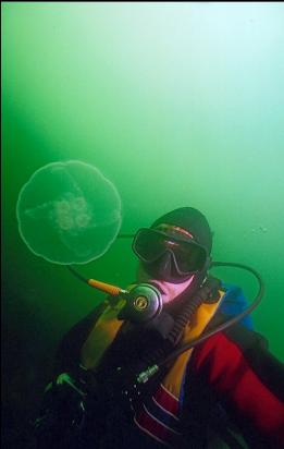 MOON JELLY