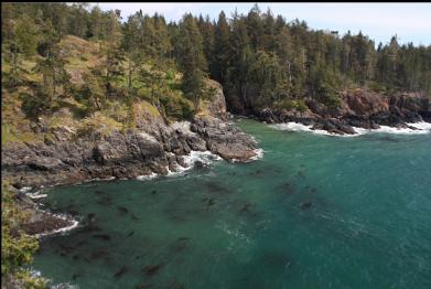 view East from point