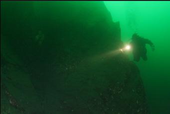 ANDREW SWIMMING AROUND CORNER TO CLOUD SPONGE