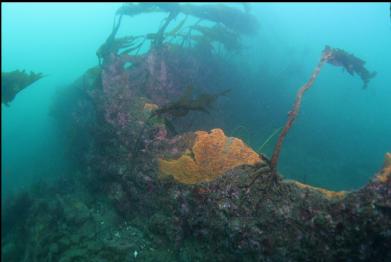 iron wall with exposed rusty area