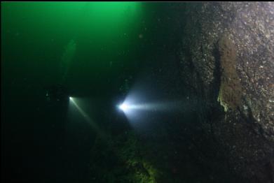 boot sponge