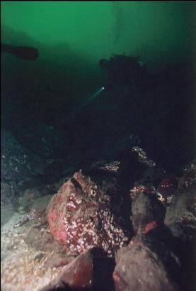 DIVER OVER RUBBLE AREA