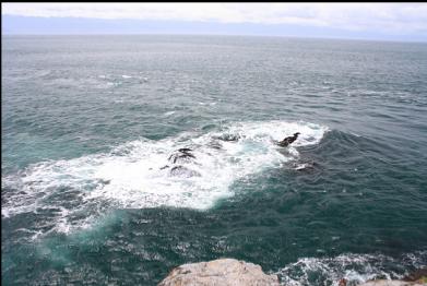 reefs at tip of point