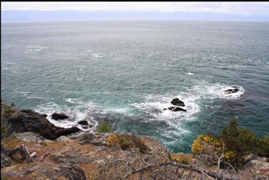 reefs at tip of point