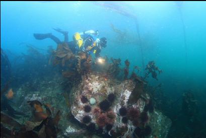 reef at Southern tip of the islets