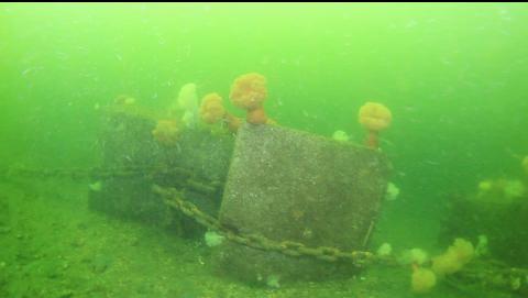 mooring blocks and chain