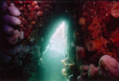 INSIDE TUNNEL