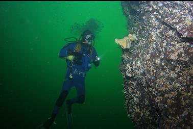 small cloud sponge on wall