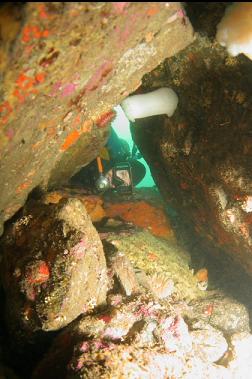 looking under pile of boulders