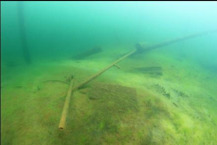 debris in the shallows