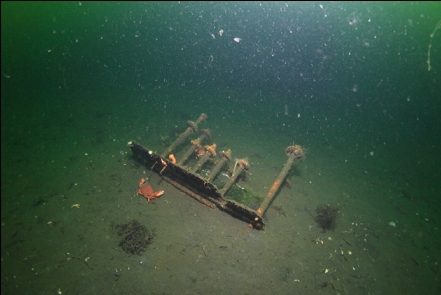 debris before the wrecks