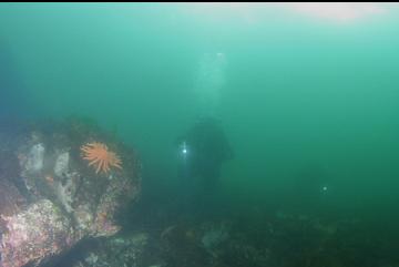 IN SHALLOWS