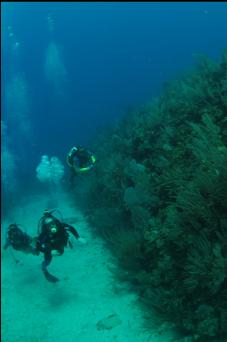 reef and sandy channel